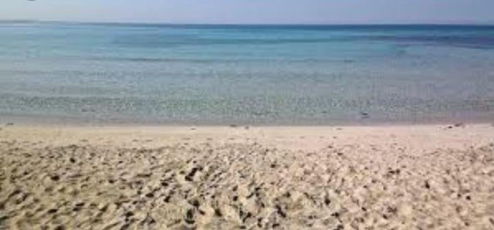Acquazzurra Affittacamere توري لابيلو المظهر الخارجي الصورة